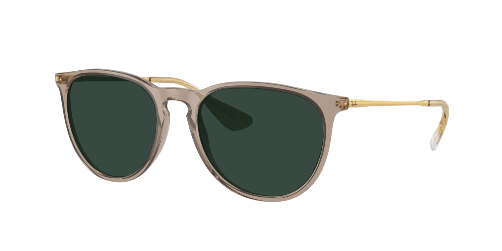 Ray Ban RB4171 674413 Erika Ray Ban RB4171 674413 Erika