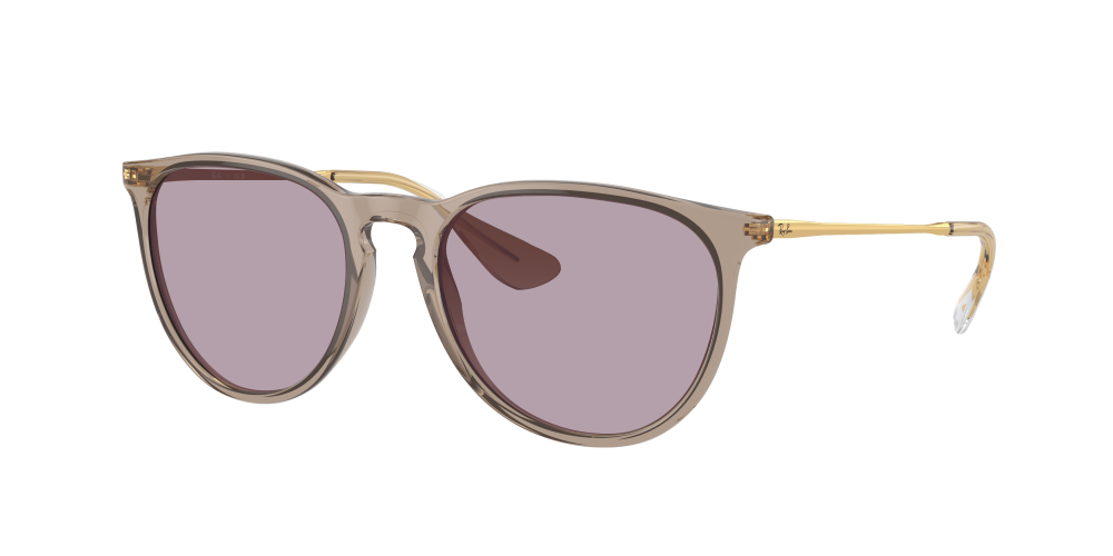 Ray Ban RB4171 674413 Erika Ray Ban RB4171 674413 Erika