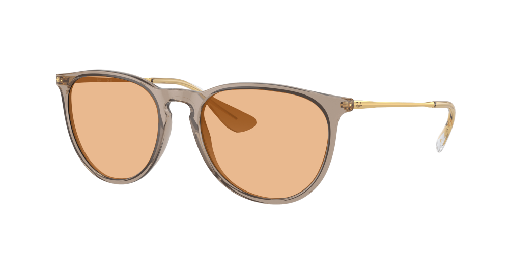 Ray Ban RB4171 674413 Erika Ray Ban RB4171 674413 Erika