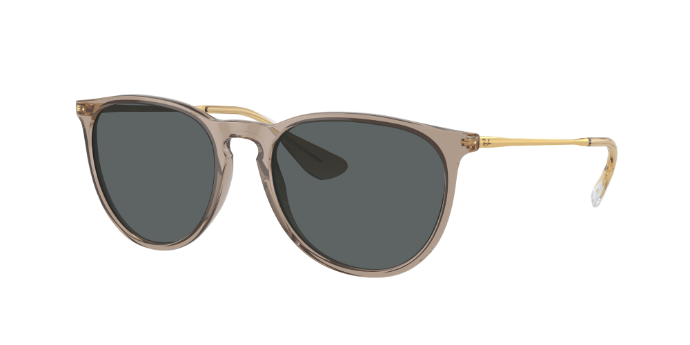 Ray Ban RB4171 674413 Erika Ray Ban RB4171 674413 Erika