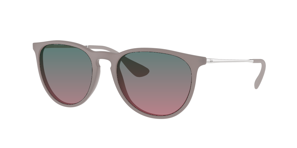 Ray Ban RB4171 600068 Erika Ray Ban RB4171 600068 Erika