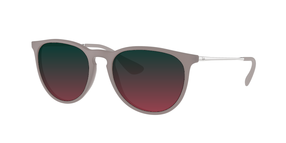 Ray Ban RB4171 600068 Erika Ray Ban RB4171 600068 Erika