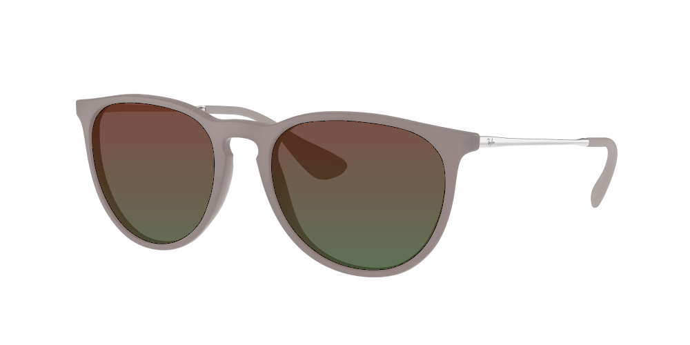 Ray Ban RB4171 600068 Erika Ray Ban RB4171 600068 Erika