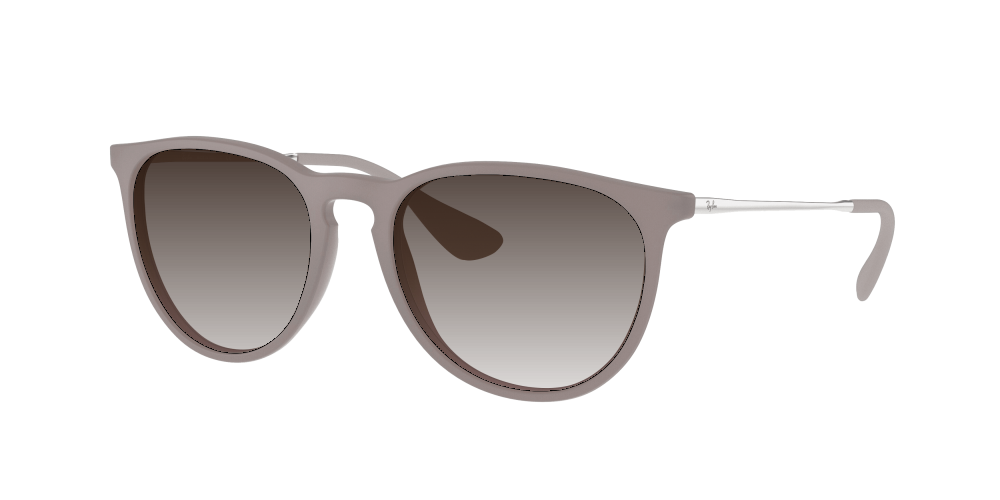 Ray Ban RB4171 600068 Erika Ray Ban RB4171 600068 Erika