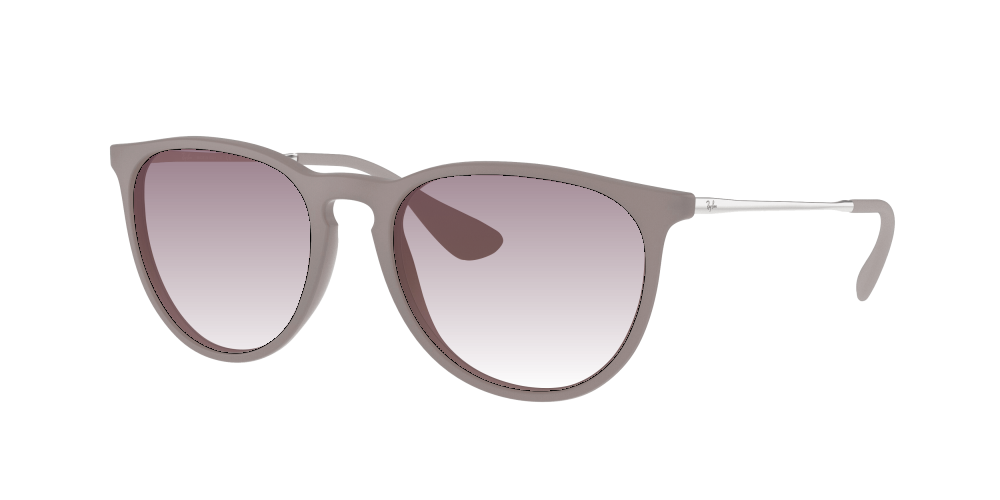 Ray Ban RB4171 600068 Erika Ray Ban RB4171 600068 Erika