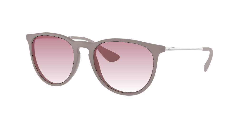Ray Ban RB4171 600068 Erika Ray Ban RB4171 600068 Erika