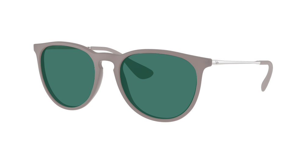 Ray Ban RB4171 600068 Erika Ray Ban RB4171 600068 Erika