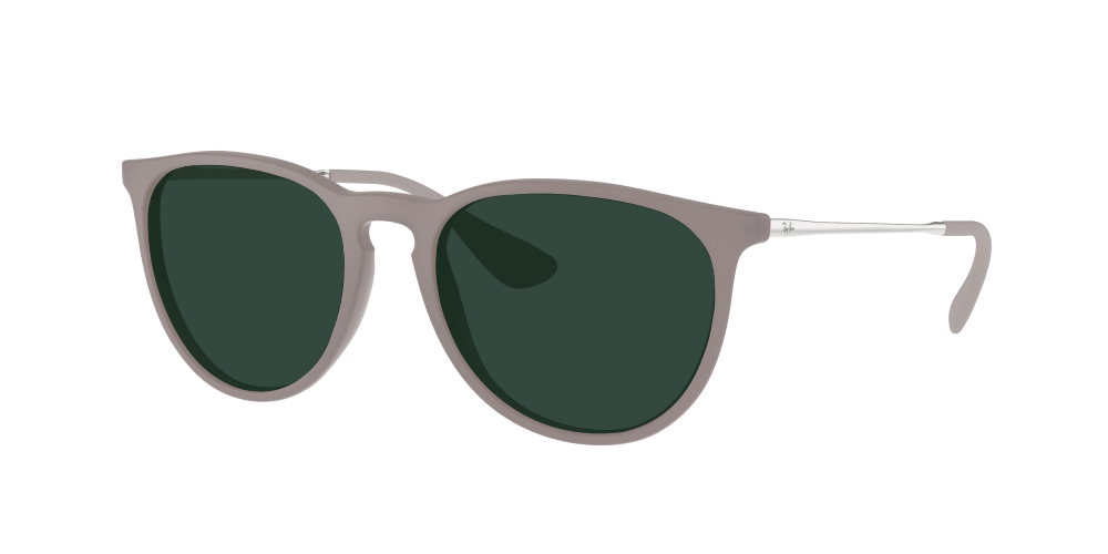 Ray Ban RB4171 600068 Erika Ray Ban RB4171 600068 Erika