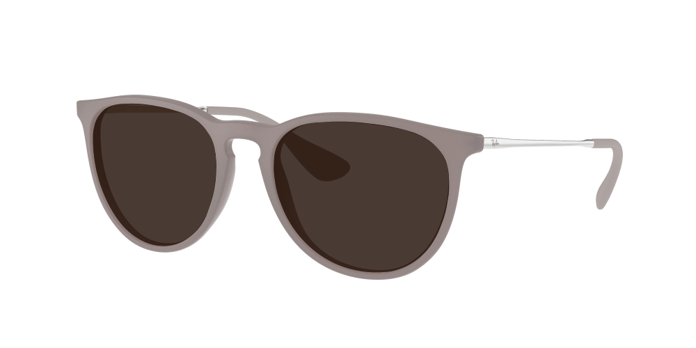 Ray Ban RB4171 600068 Erika Ray Ban RB4171 600068 Erika