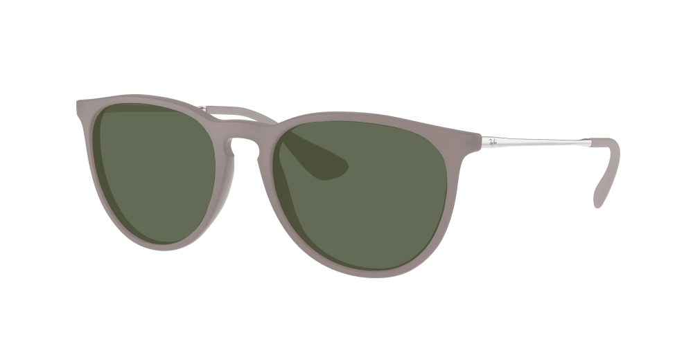Ray Ban RB4171 600068 Erika Ray Ban RB4171 600068 Erika