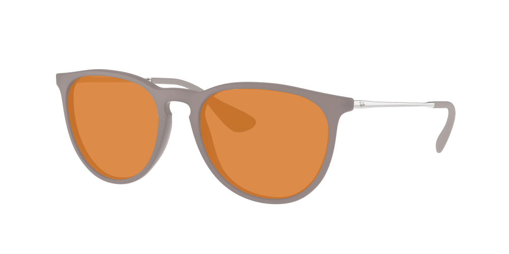 Ray Ban RB4171 600068 Erika Ray Ban RB4171 600068 Erika