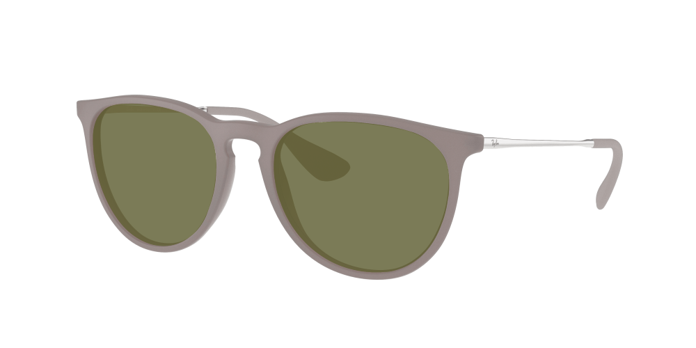 Ray Ban RB4171 600068 Erika Ray Ban RB4171 600068 Erika
