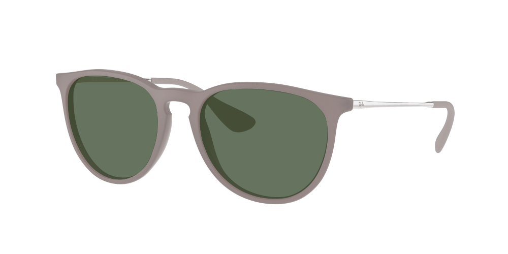 Ray Ban RB4171 600068 Erika Ray Ban RB4171 600068 Erika