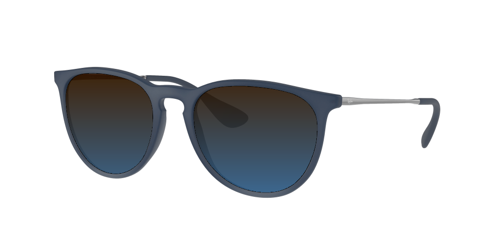 Ray Ban RB4171 60028G Erika Ray Ban RB4171 60028G Erika