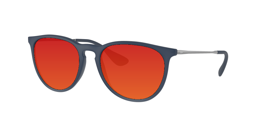 Ray Ban RB4171 60028G Erika Ray Ban RB4171 60028G Erika