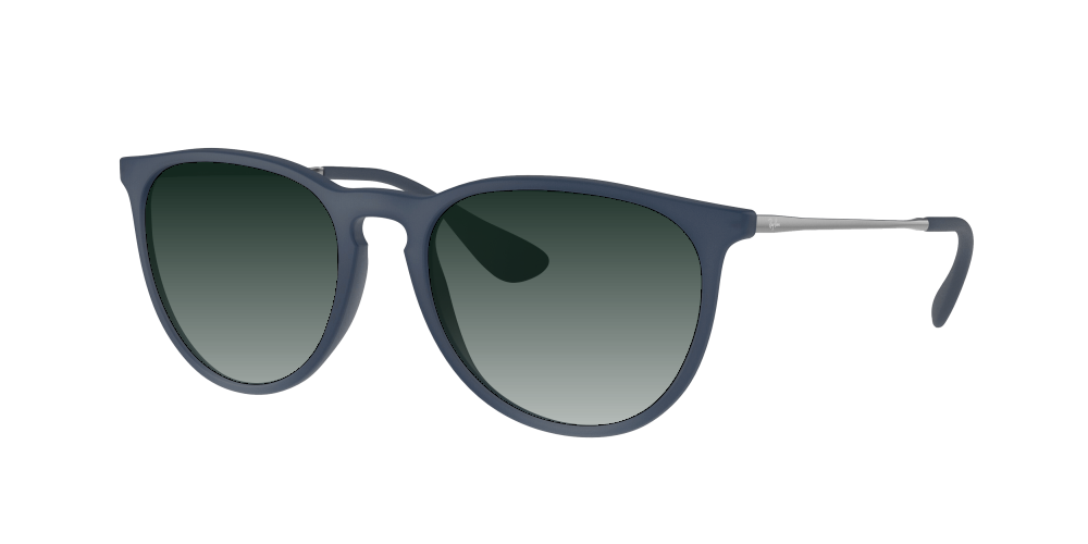 Ray Ban RB4171 60028G Erika Ray Ban RB4171 60028G Erika