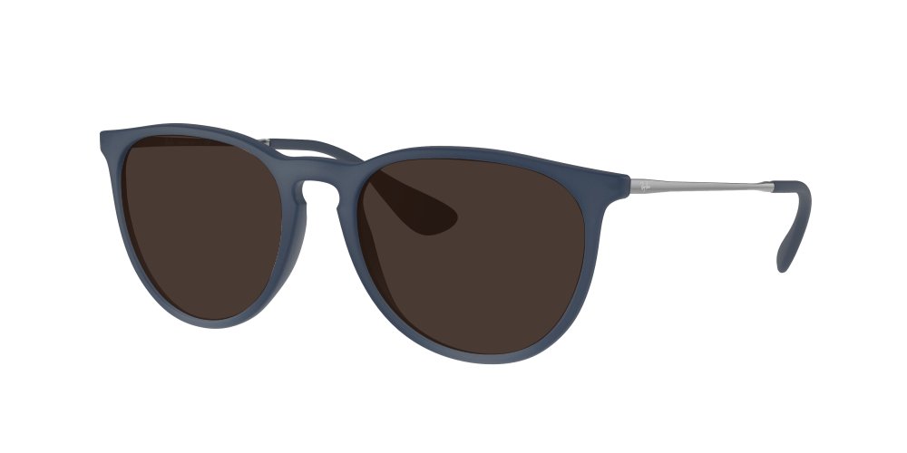 Ray Ban RB4171 60028G Erika  Ray Ban RB4171 60028G Erika