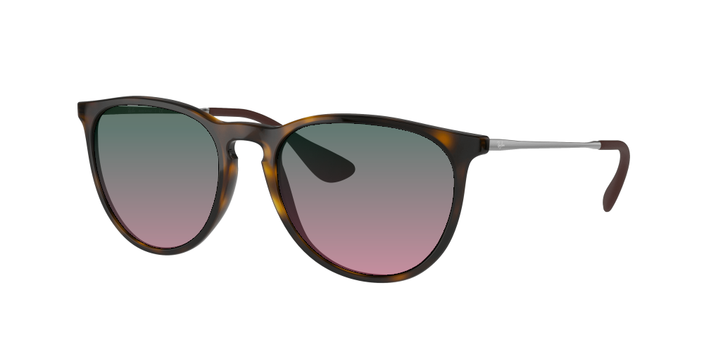 Ray Ban RB4171 710/71 Erika Ray Ban RB4171 710/71 Erika