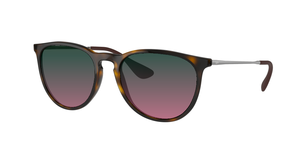 Ray Ban RB4171 710/71 Erika Ray Ban RB4171 710/71 Erika