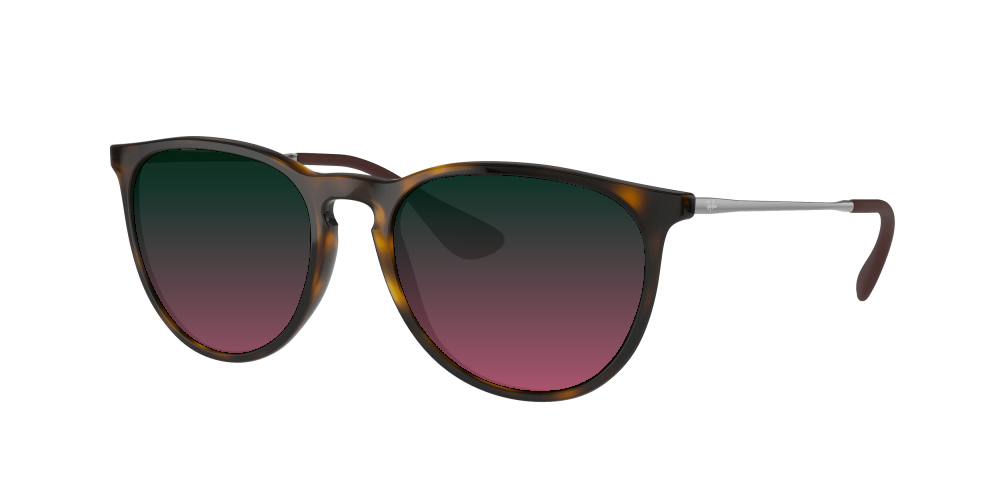 Ray Ban RB4171 710/71 Erika Ray Ban RB4171 710/71 Erika