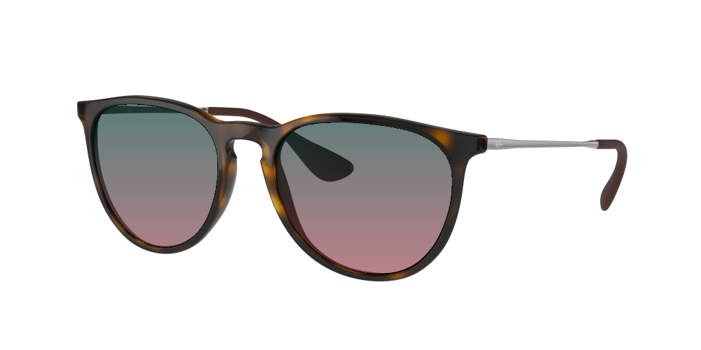 Ray Ban RB4171 710/71 Erika Ray Ban RB4171 710/71 Erika