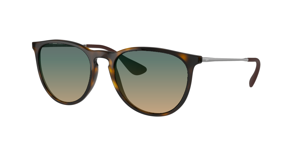 Ray Ban RB4171 710/71 Erika Ray Ban RB4171 710/71 Erika