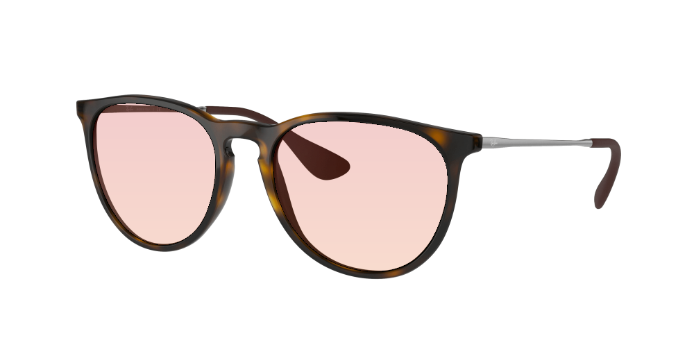 Ray Ban RB4171 710/71 Erika Ray Ban RB4171 710/71 Erika