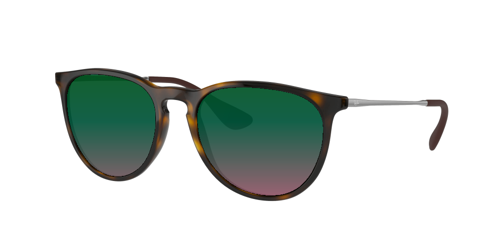 Ray Ban RB4171 710/71 Erika Ray Ban RB4171 710/71 Erika