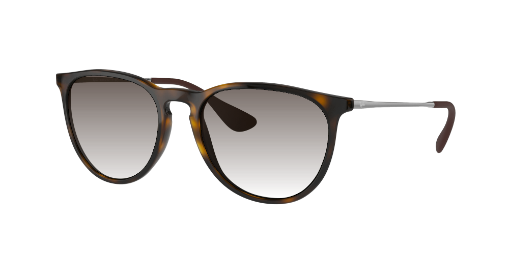 Ray Ban RB4171 710/71 Erika Ray Ban RB4171 710/71 Erika