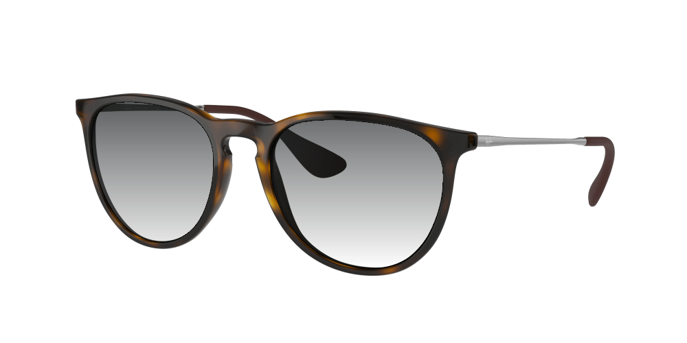 Ray Ban RB4171 710/71 Erika Ray Ban RB4171 710/71 Erika