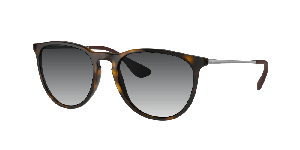 Ray Ban RB4171 710/71 Erika Ray Ban RB4171 710/71 Erika