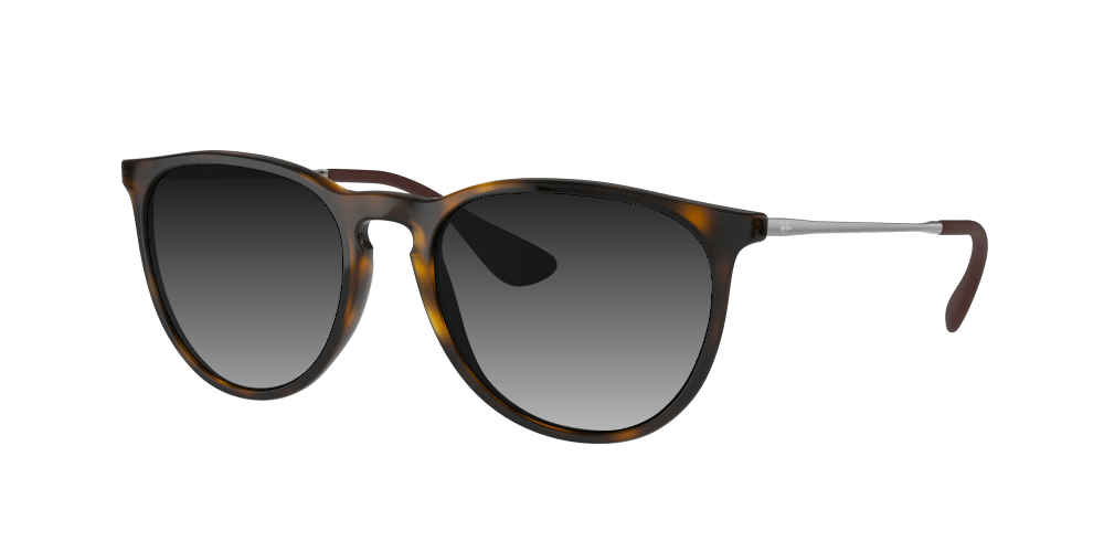 Ray Ban RB4171 710/71 Erika Ray Ban RB4171 710/71 Erika