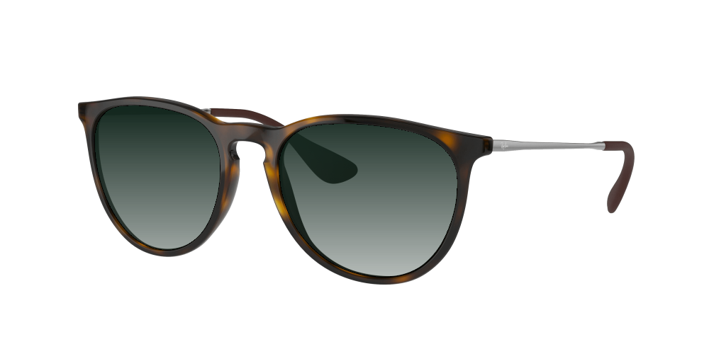 Ray Ban RB4171 710/71 Erika Ray Ban RB4171 710/71 Erika