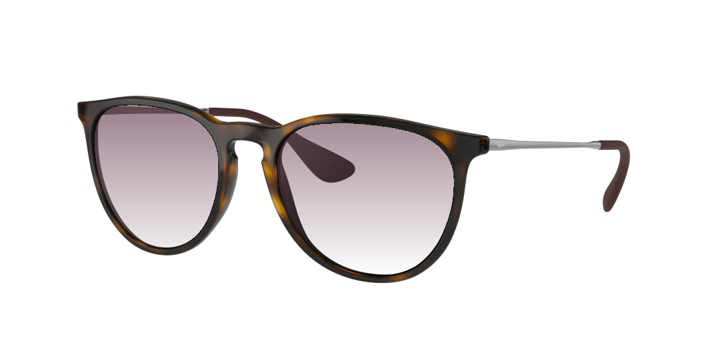 Ray Ban RB4171 710/71 Erika Ray Ban RB4171 710/71 Erika