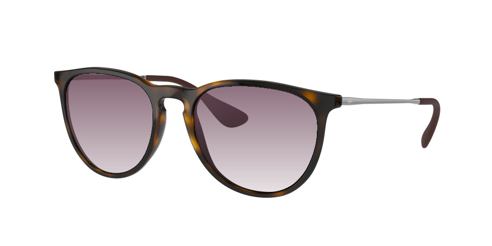 Ray Ban RB4171 710/71 Erika Ray Ban RB4171 710/71 Erika