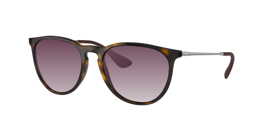 Ray Ban RB4171 710/71 Erika Ray Ban RB4171 710/71 Erika