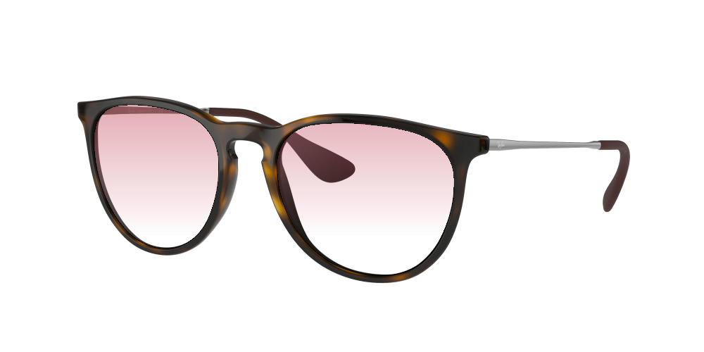 Ray Ban RB4171 710/71 Erika Ray Ban RB4171 710/71 Erika
