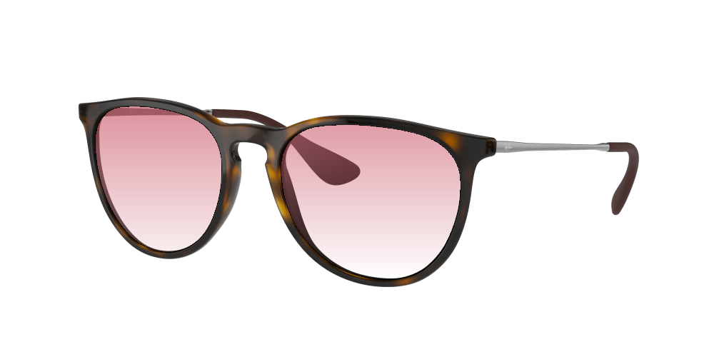 Ray Ban RB4171 710/71 Erika Ray Ban RB4171 710/71 Erika