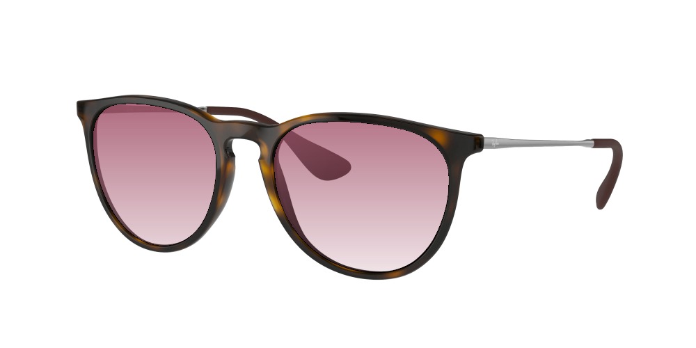 Ray Ban RB4171 710/71 Erika Ray Ban RB4171 710/71 Erika