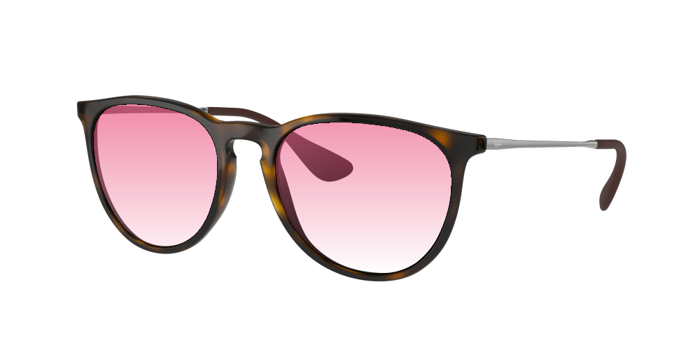 Ray Ban RB4171 710/71 Erika Ray Ban RB4171 710/71 Erika