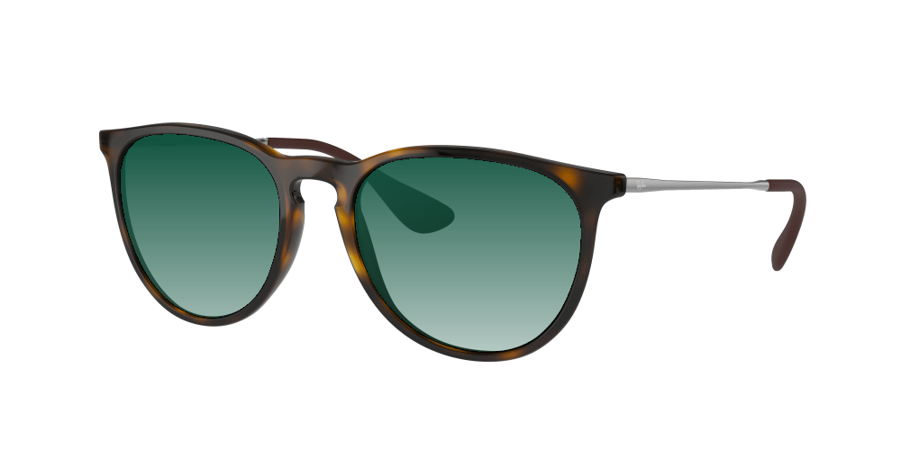 Ray Ban RB4171 710/71 Erika Ray Ban RB4171 710/71 Erika