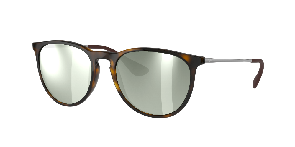 Ray Ban RB4171 710/71 Erika Ray Ban RB4171 710/71 Erika