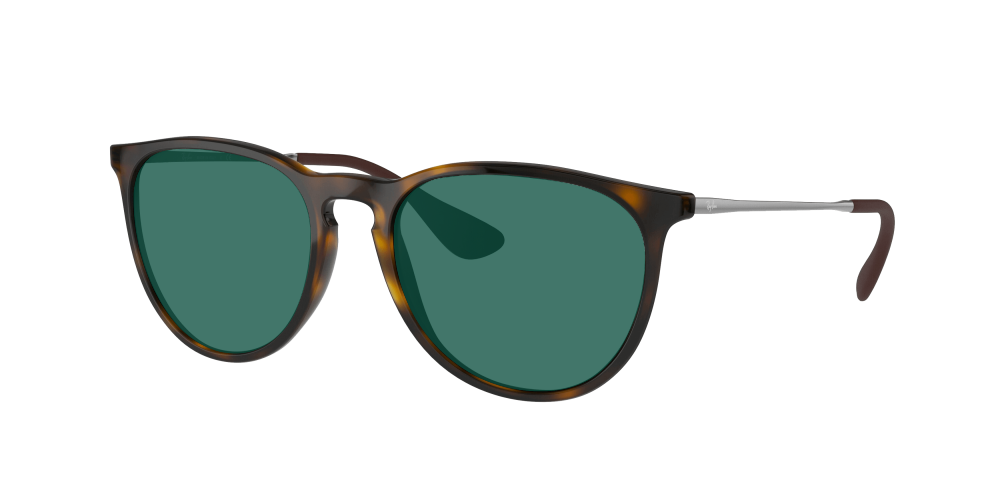 Ray Ban RB4171 710/71 Erika Ray Ban RB4171 710/71 Erika