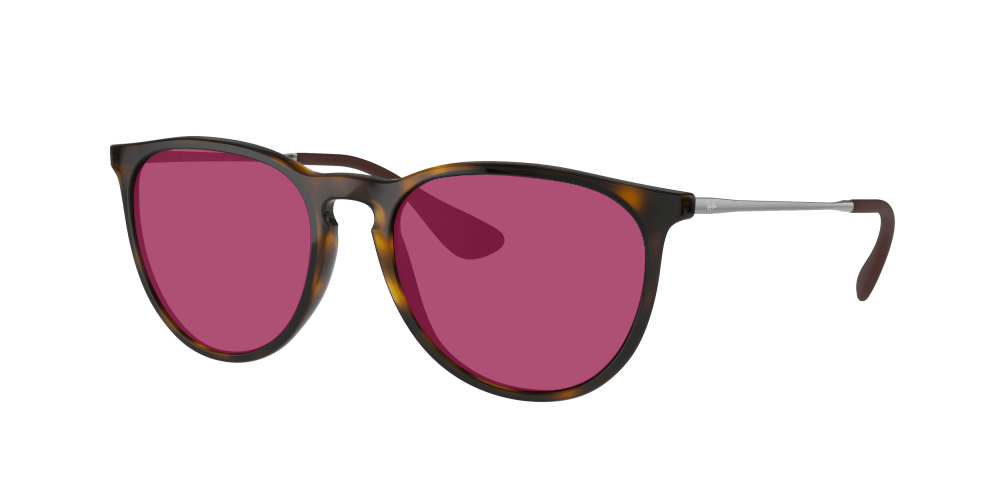 Ray Ban RB4171 710/71 Erika Ray Ban RB4171 710/71 Erika