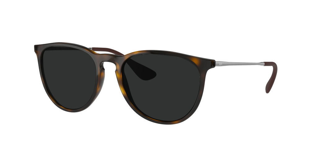 Ray Ban RB4171 710/71 Erika Ray Ban RB4171 710/71 Erika