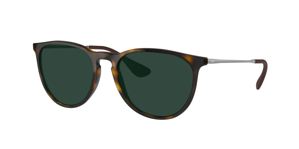 Ray Ban RB4171 710/71 Erika Ray Ban RB4171 710/71 Erika