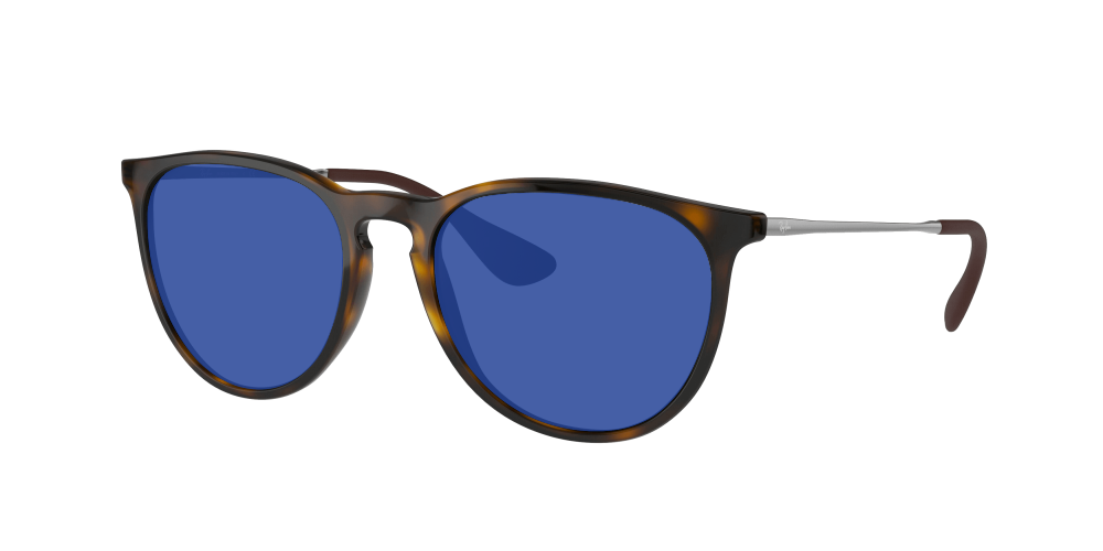 Ray Ban RB4171 710/71 Erika Ray Ban RB4171 710/71 Erika