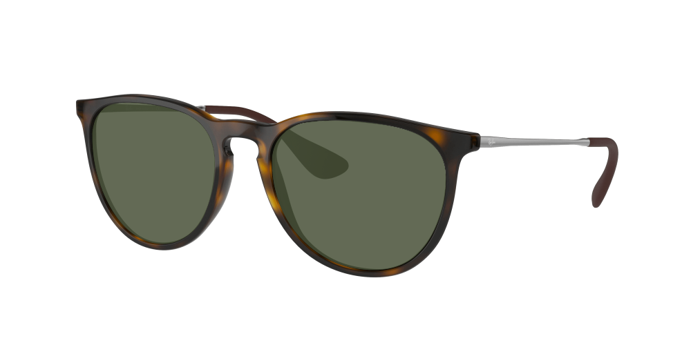 Ray Ban RB4171 710/71 Erika Ray Ban RB4171 710/71 Erika
