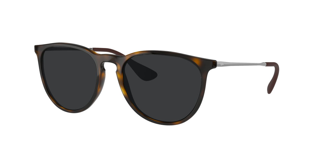 Ray Ban RB4171 710/71 Erika Ray Ban RB4171 710/71 Erika