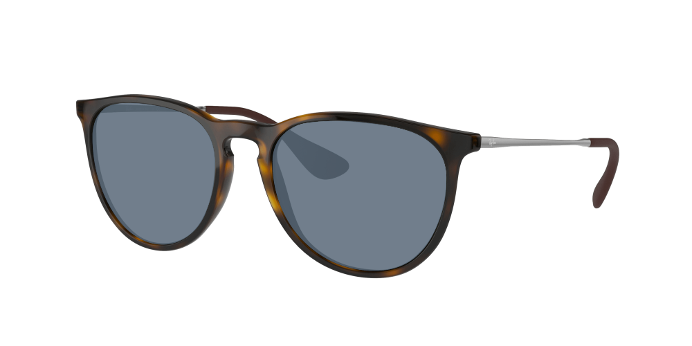 Ray Ban RB4171 710/71 Erika Ray Ban RB4171 710/71 Erika